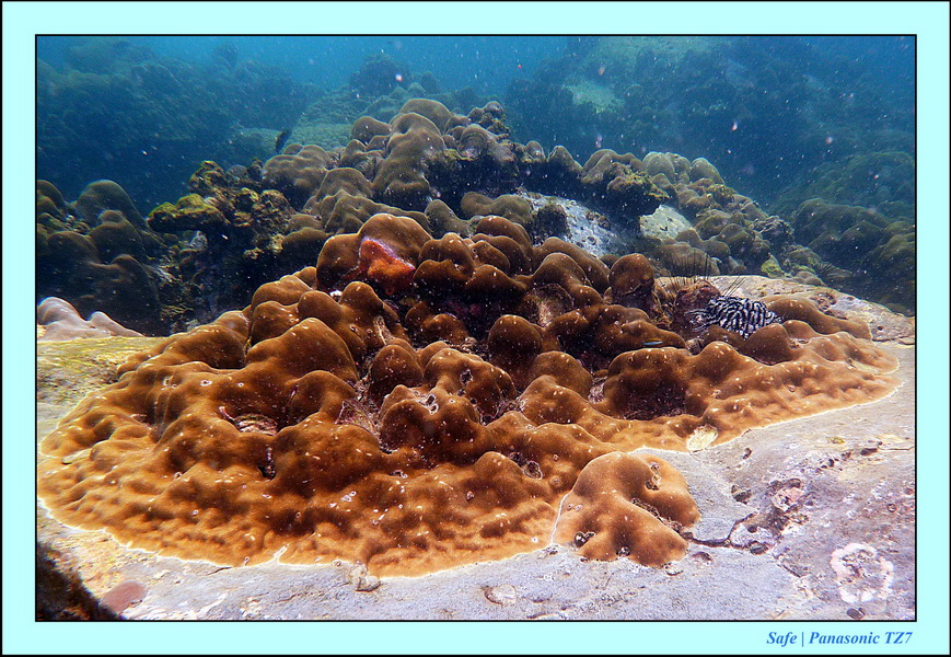 2011 - 07 - Koh Lipe 57